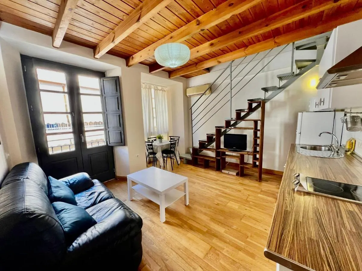 Apartamento Luxury Duplex Malaga Center