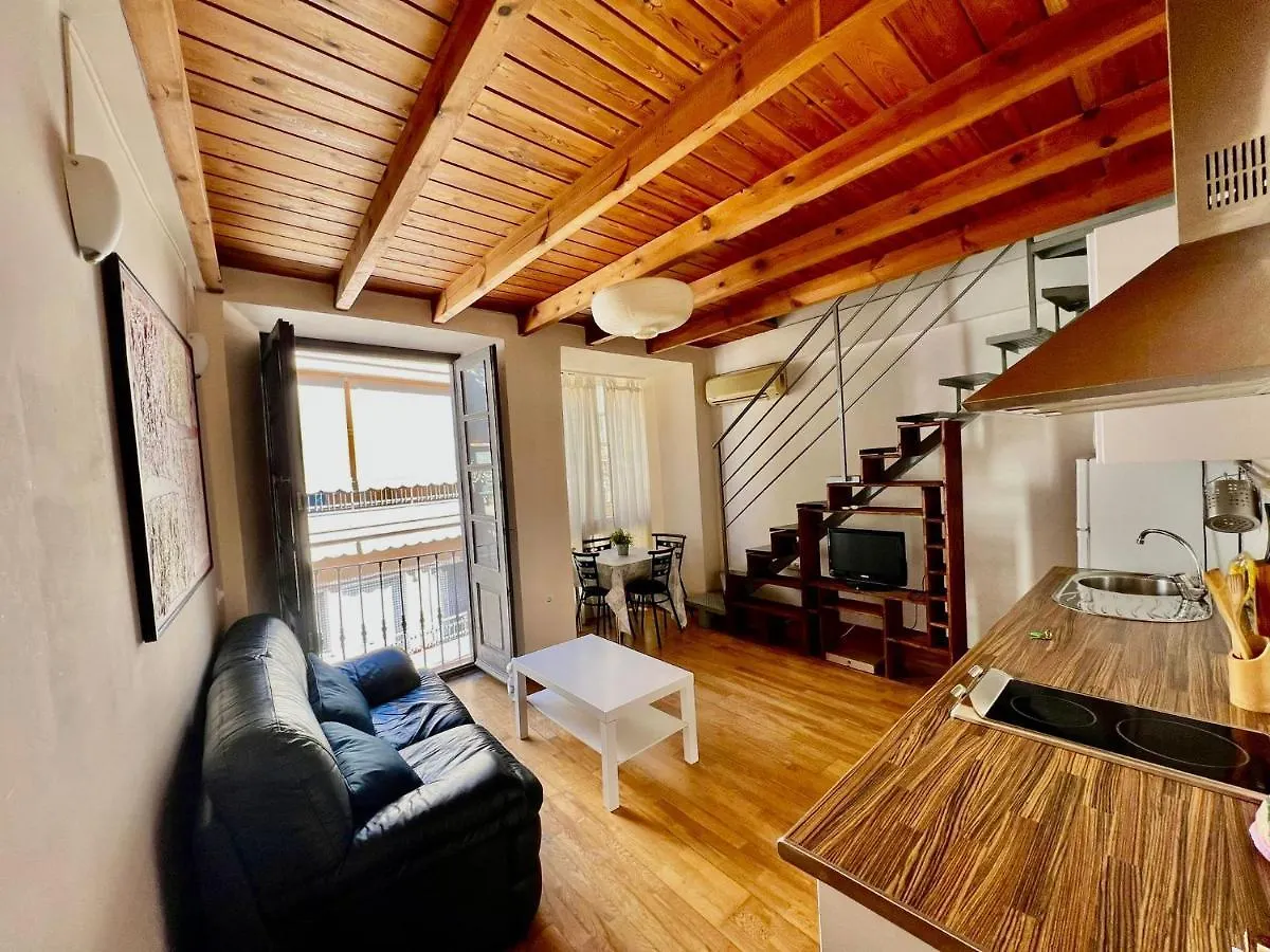 Apartamento Luxury Duplex Malaga Center